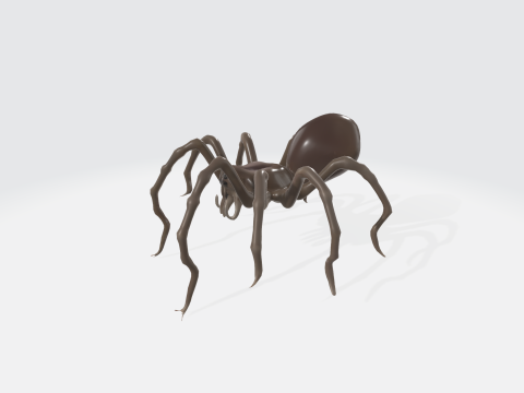 Realistic 3D Spider Model 3D Model