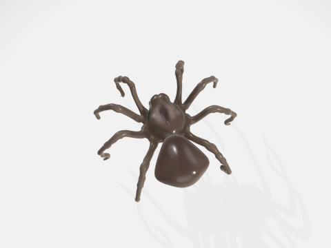 Realistic 3D Spider Model 3D Model