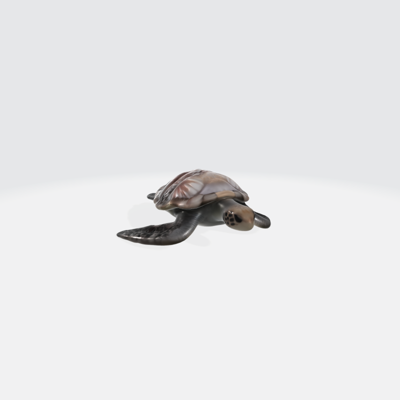 Realistic Sea Turtle - Marine Animal 3D Model .c4d .max .obj .3ds .fbx .stl .blend