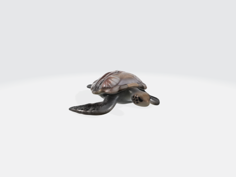 Realistic Sea Turtle - Marine Animal 3Dモデル