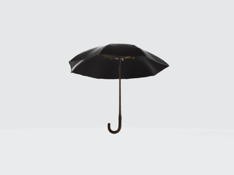 Realistic Black Umbrella 3D 模型