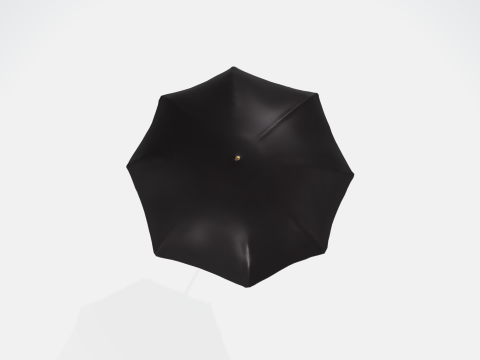 Realistic Black Umbrella 3D 模型