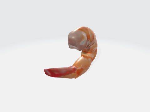 Realistic 3D Shrimp Model - Seafood Assets Modelo 3D