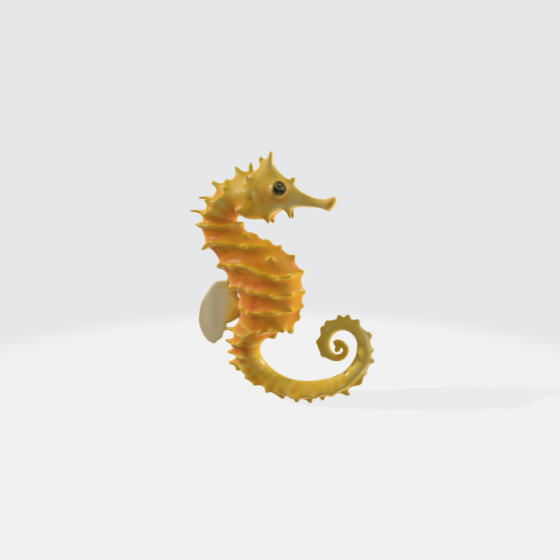 Realistic Seahorse - Marine Life 3D Model .c4d .max .obj .3ds .fbx .stl .blend