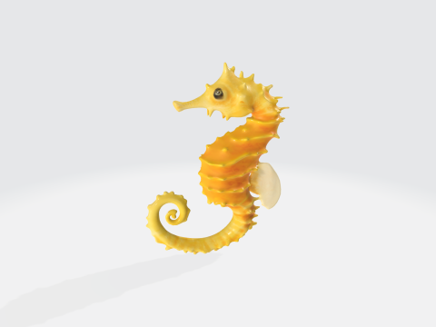 Realistic Seahorse - Marine Life 3D Model