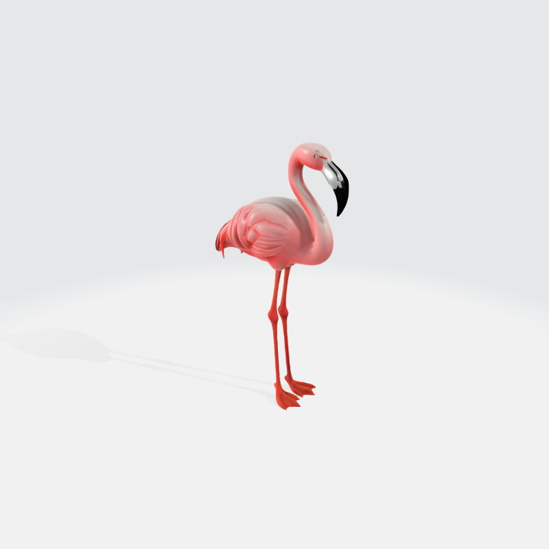 Realistic Pink Flamingo - Bird Asset 3Dモデル .c4d .max .obj .3ds .fbx .stl .blend