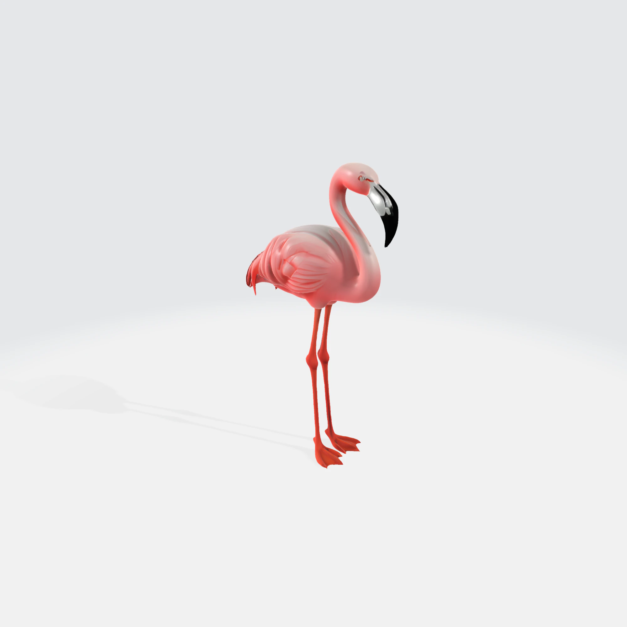 Realistic Pink Flamingo - Bird Asset 3D Model .c4d .max .obj .3ds .fbx .stl .blend 