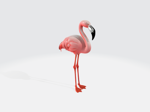 Realistic Pink Flamingo - Bird Asset 3Dモデル