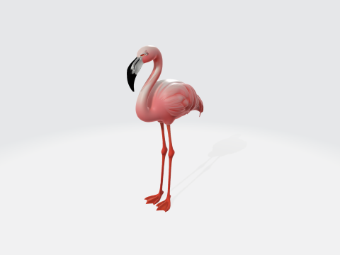 Realistic Pink Flamingo - Bird Asset 3Dモデル