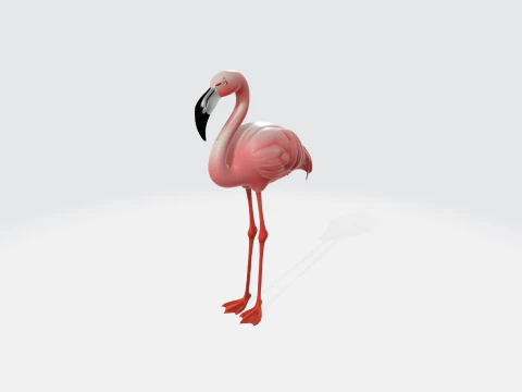 Realistic Pink Flamingo - Bird Asset 3D Model