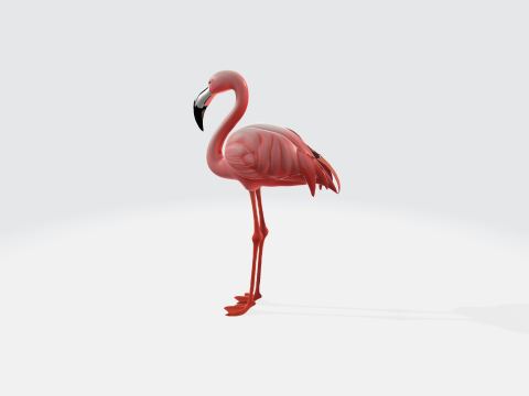 Realistic Pink Flamingo - Bird Asset 3Dモデル