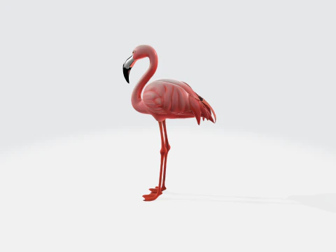 Realistic Pink Flamingo - Bird Asset 3D Model