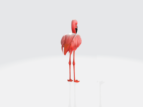 Realistic Pink Flamingo - Bird Asset 3Dモデル