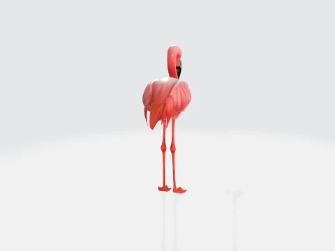 Realistic Pink Flamingo - Bird Asset 3D Model