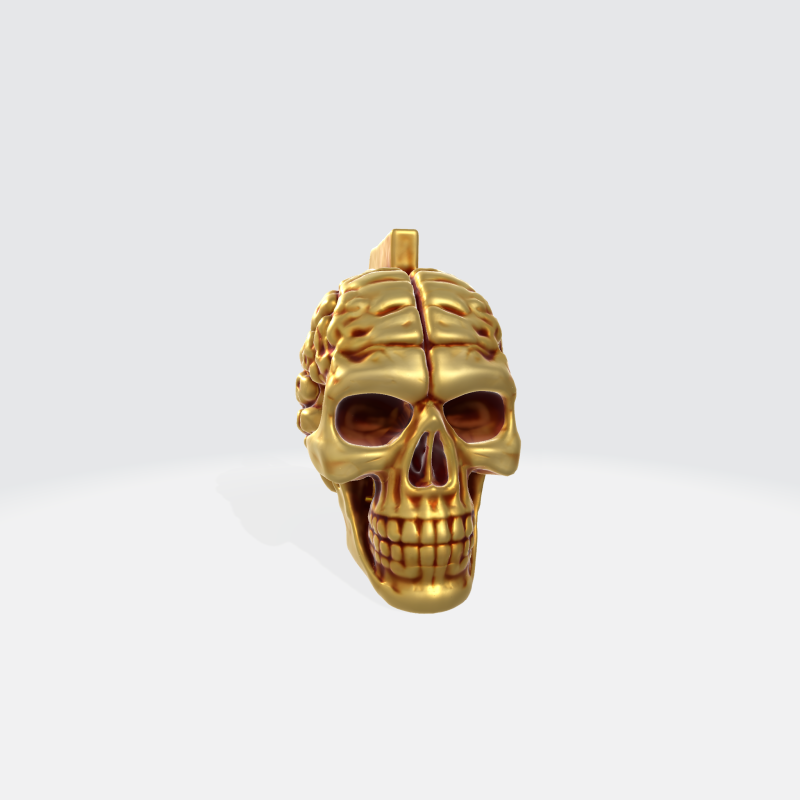 Gold Skull Brain Realistic Anatomy Sculpture for Horror Fantasy Medical 3D Модель .c4d .max .obj .3ds .fbx .stl .blend