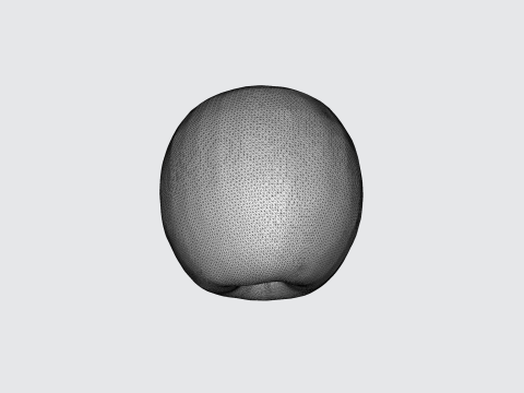Realistic Red Apple Fruit Asset Modelo 3D