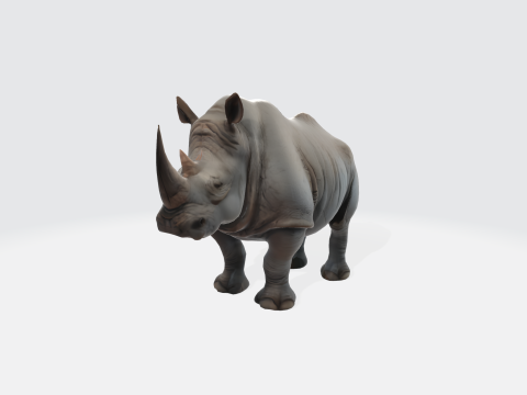 Realistic Rhinoceros Animal Asset Modello 3D
