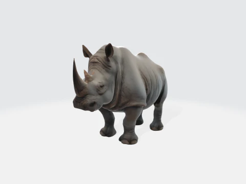 Realistic Rhinoceros Animal Asset 3D Model