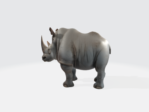 Realistic Rhinoceros Animal Asset Modello 3D