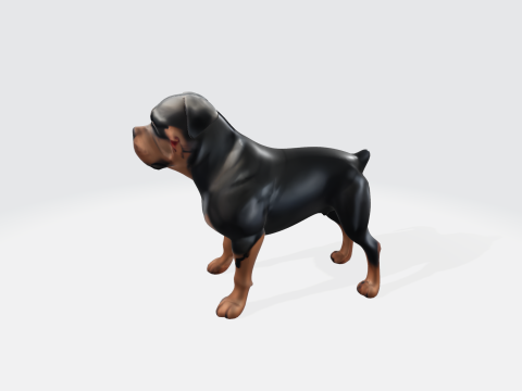 Realistic Rottweiler Dog Pet Animal Character 3D मॉडल