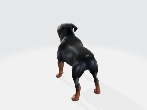 Realistic Rottweiler Dog Pet Animal Character 3D मॉडल