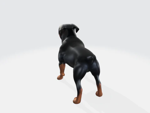 Realistic Rottweiler Dog Pet Animal Character 3D Model