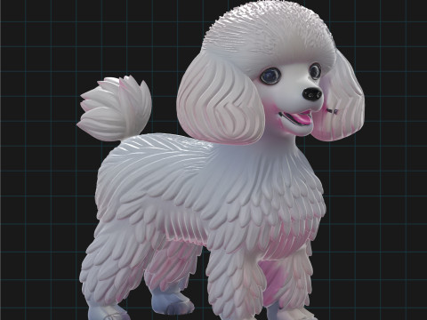 Realistic 3D Poodle Dog Model Modello 3D