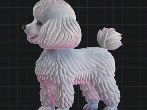 Realistic 3D Poodle Dog Model 3D Model