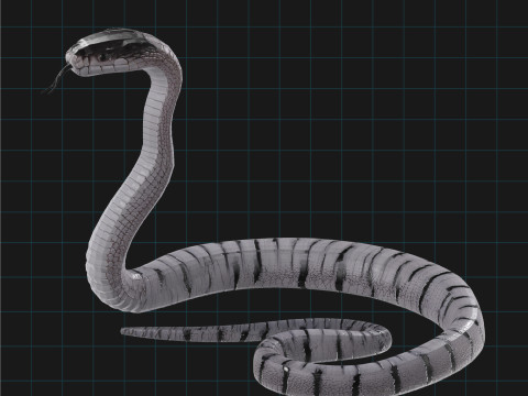 3D Cobra Snake Model Realistic Snake Asset Model 3D