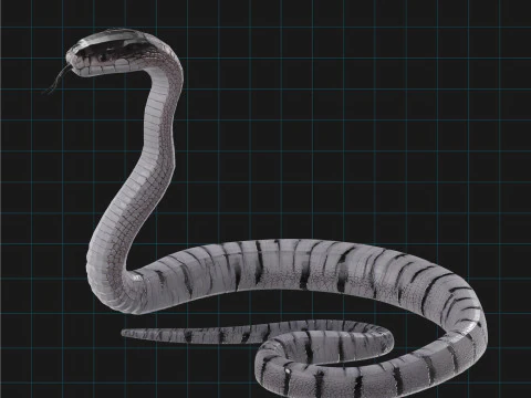 3D Cobra Snake Model Realistic Snake Asset 3D Model