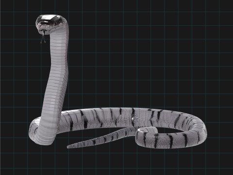 3D Cobra Snake Model Realistic Snake Asset Model 3D