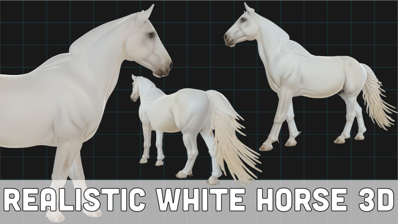 Realistic White Horse Animal Asset 3D Model .c4d .max .obj .3ds .fbx .stl .blend