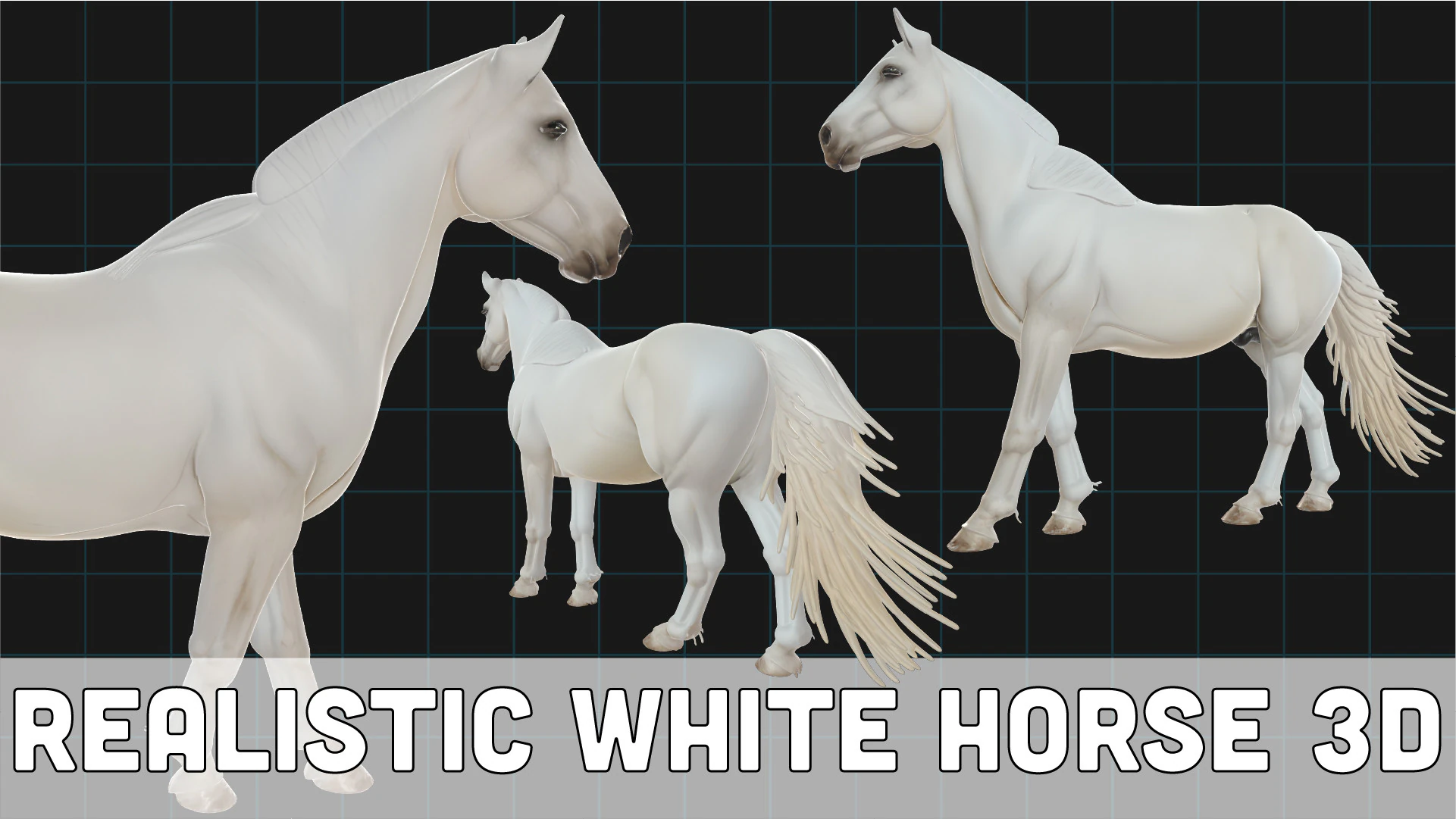 Realistic White Horse Animal Asset 3D Model .c4d .max .obj .3ds .fbx .stl .blend 