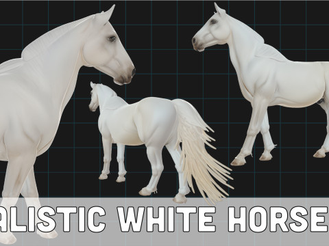 Realistic White Horse Animal Asset Modelo 3D