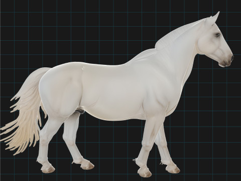 Realistic White Horse Animal Asset 3D Model