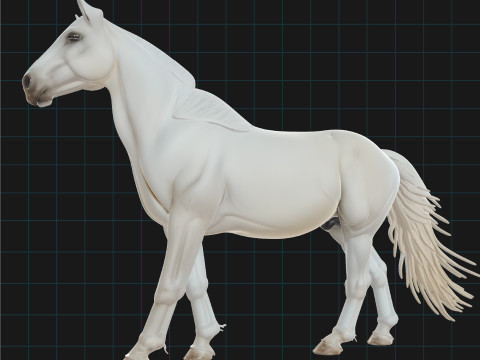Realistic White Horse Animal Asset 3D Model