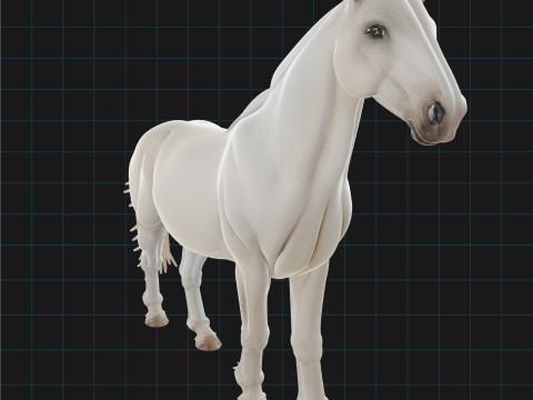 Realistic White Horse Animal Asset 3D Model