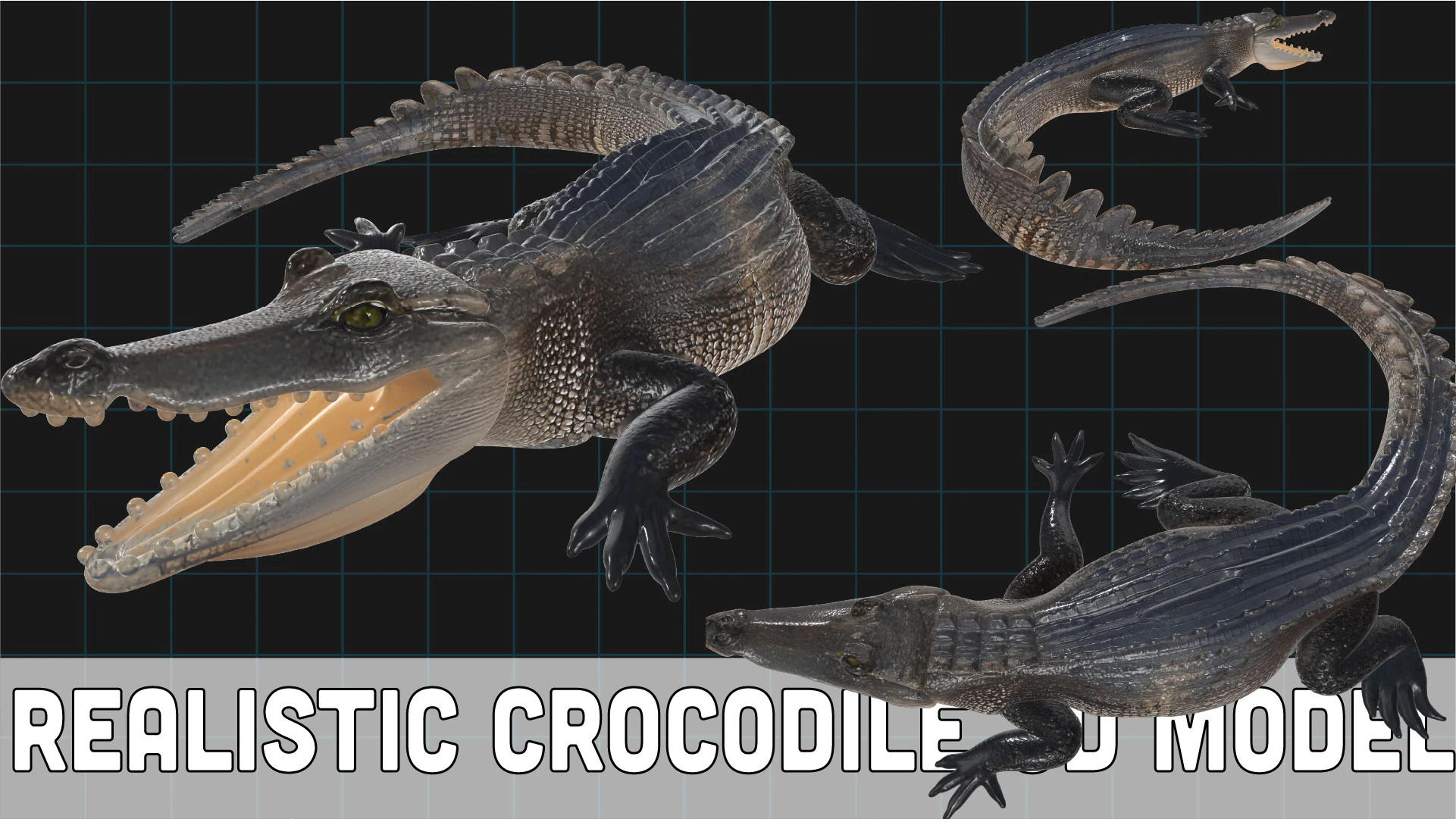 Realistic Crocodile Prehistoric Reptile Creature 3D Model .c4d .max .obj .3ds .fbx .stl .blend 