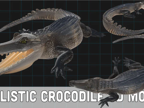 Créature de reptile préhistorique crocodile réaliste Modèle 3D
