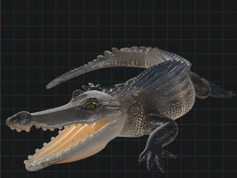 Realistic Crocodile Prehistoric Reptile Creature 3D Model