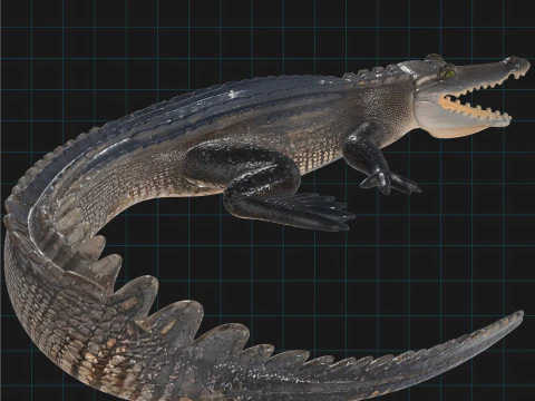 Realistic Crocodile Prehistoric Reptile Creature 3D Model