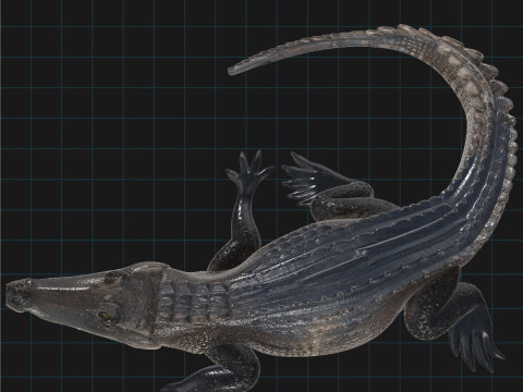 Realistic Crocodile Prehistoric Reptile Creature Model 3D