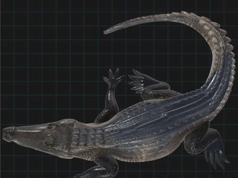 Realistic Crocodile Prehistoric Reptile Creature 3D Model