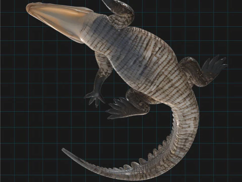 Realistic Crocodile Prehistoric Reptile Creature 3D Model