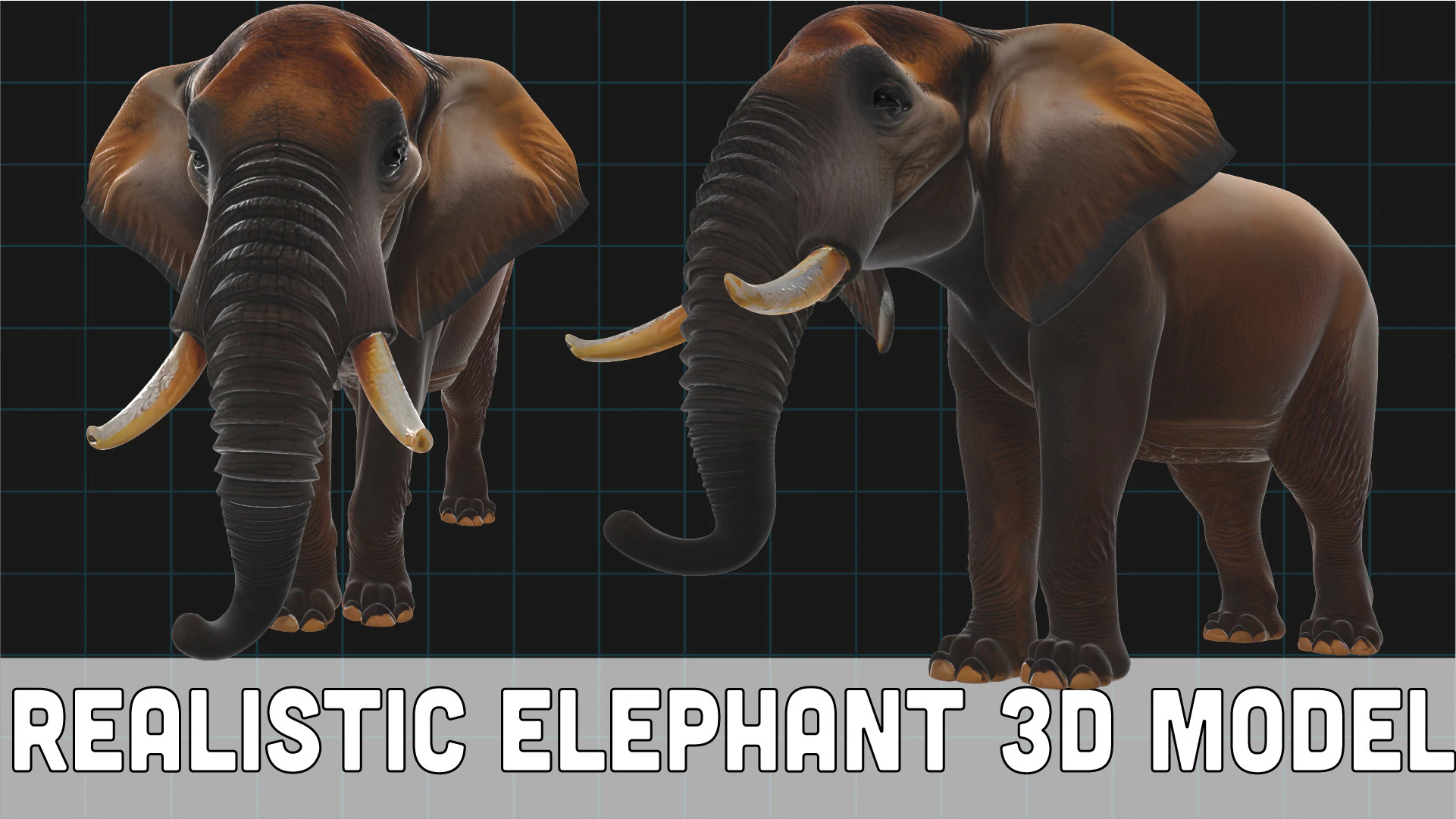 Realistic Elephant African Elephant 3D Model .c4d .max .obj .3ds .fbx .stl .blend