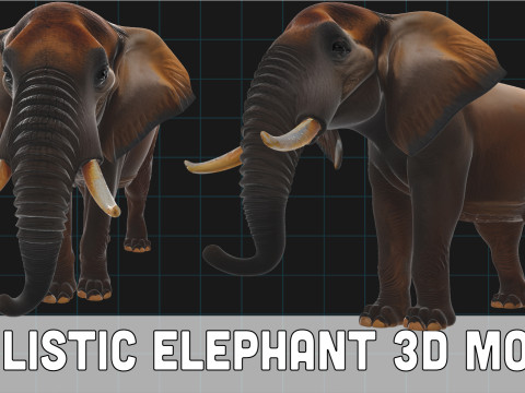 Realistic Elephant African Elephant Modelo 3D
