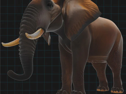 Realistic Elephant African Elephant 3D Model
