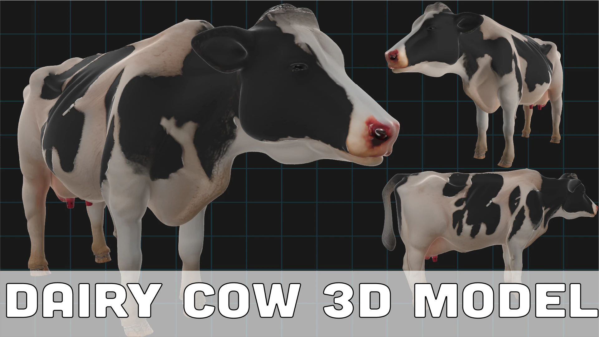 Realistic Dairy Cow Holstein Cow Model 3D Model .c4d .max .obj .3ds .fbx .stl .blend 
