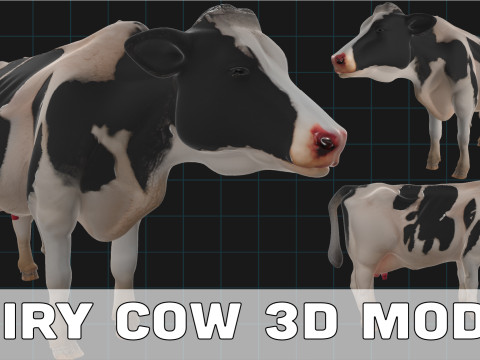 Realistic Dairy Cow Holstein Cow Model Modelo 3D