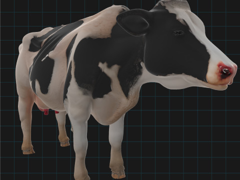 Realistic Dairy Cow Holstein Cow Model Modello 3D